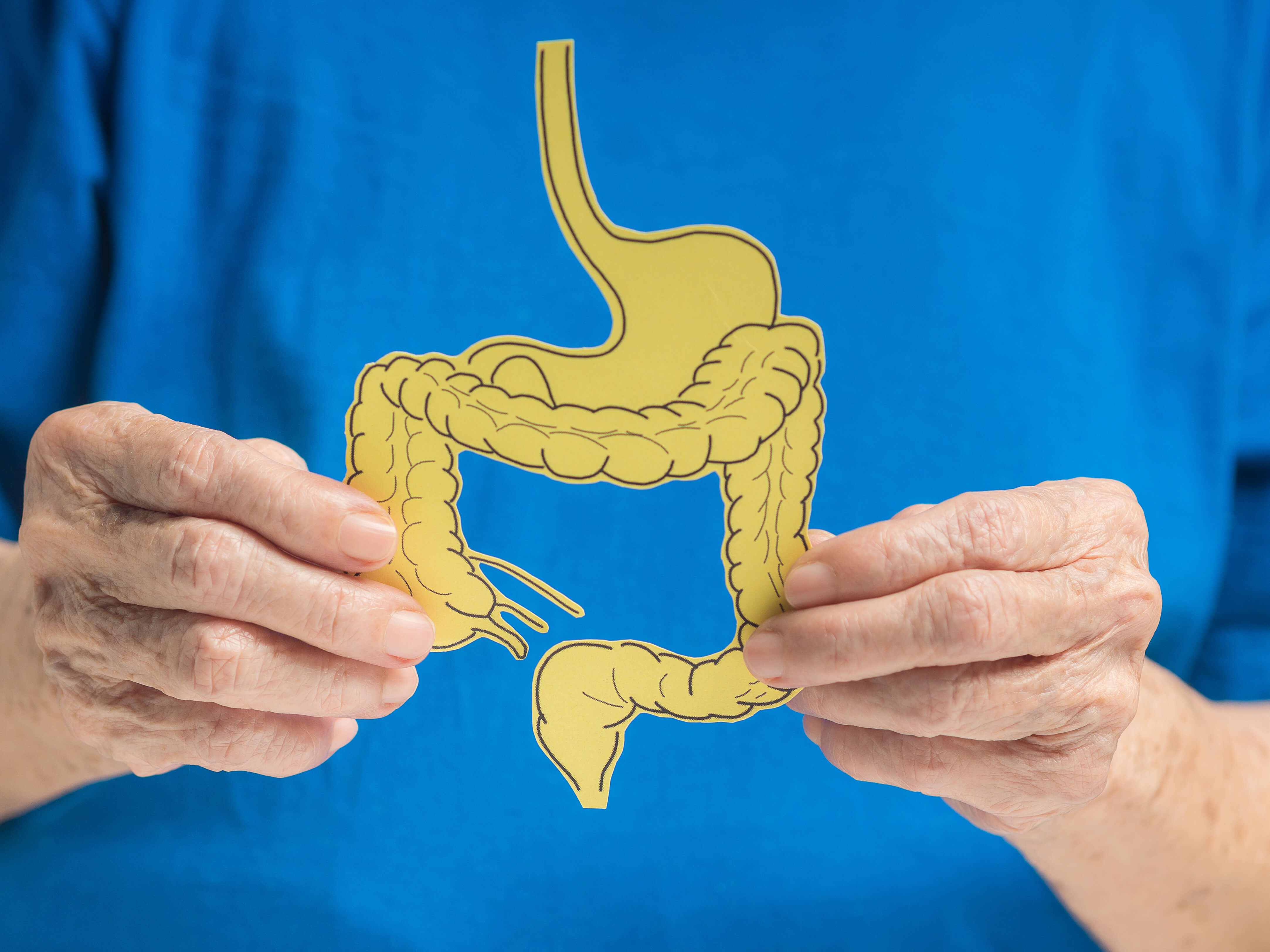 a diagram of a colon