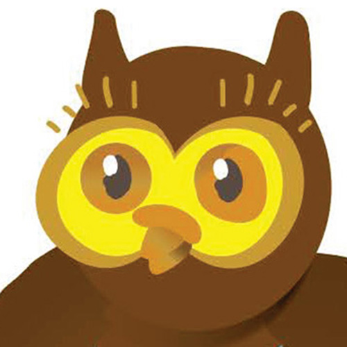 ReadNPlay owl illustration